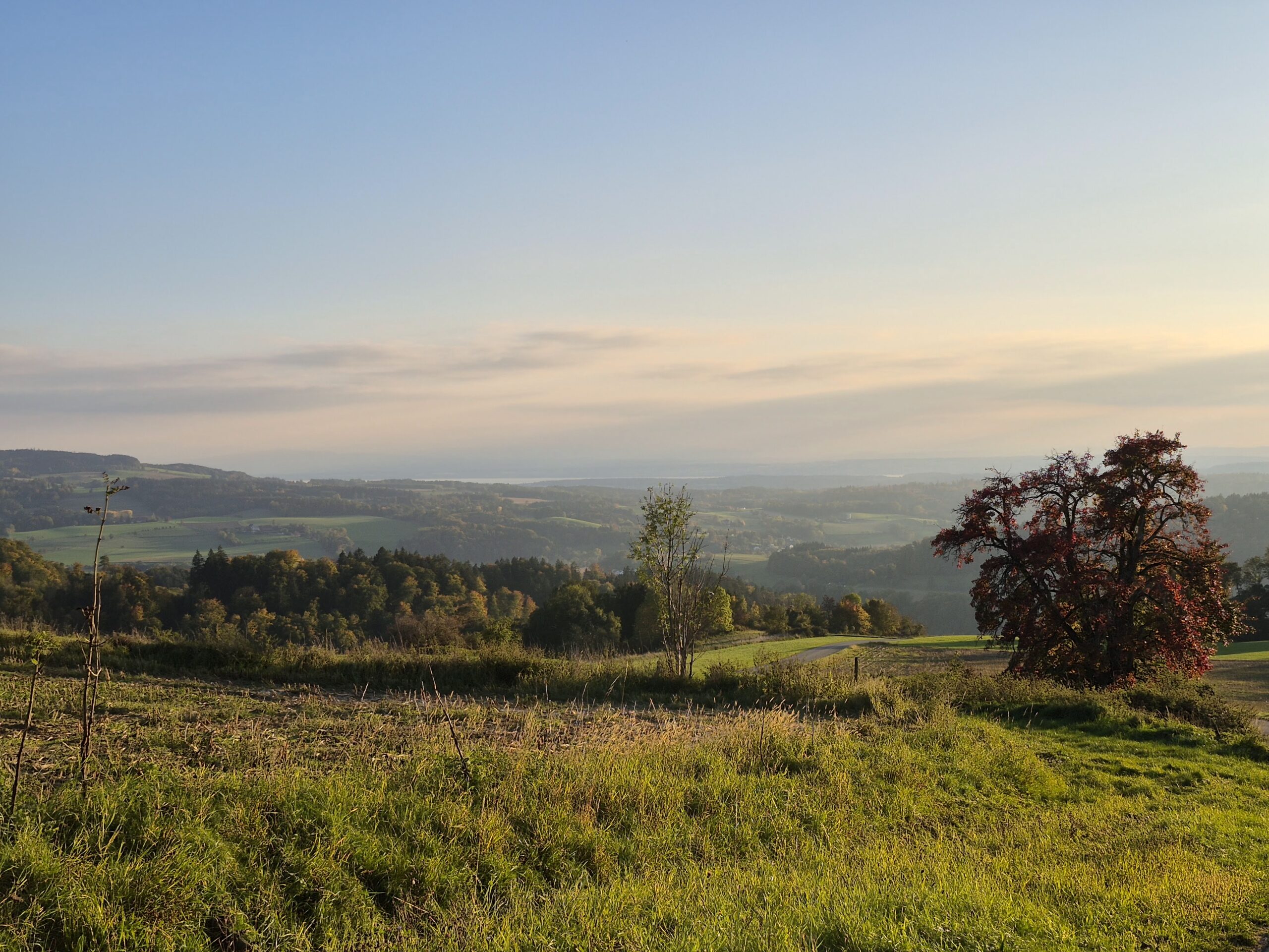 Governance über Hinz und Kunz
