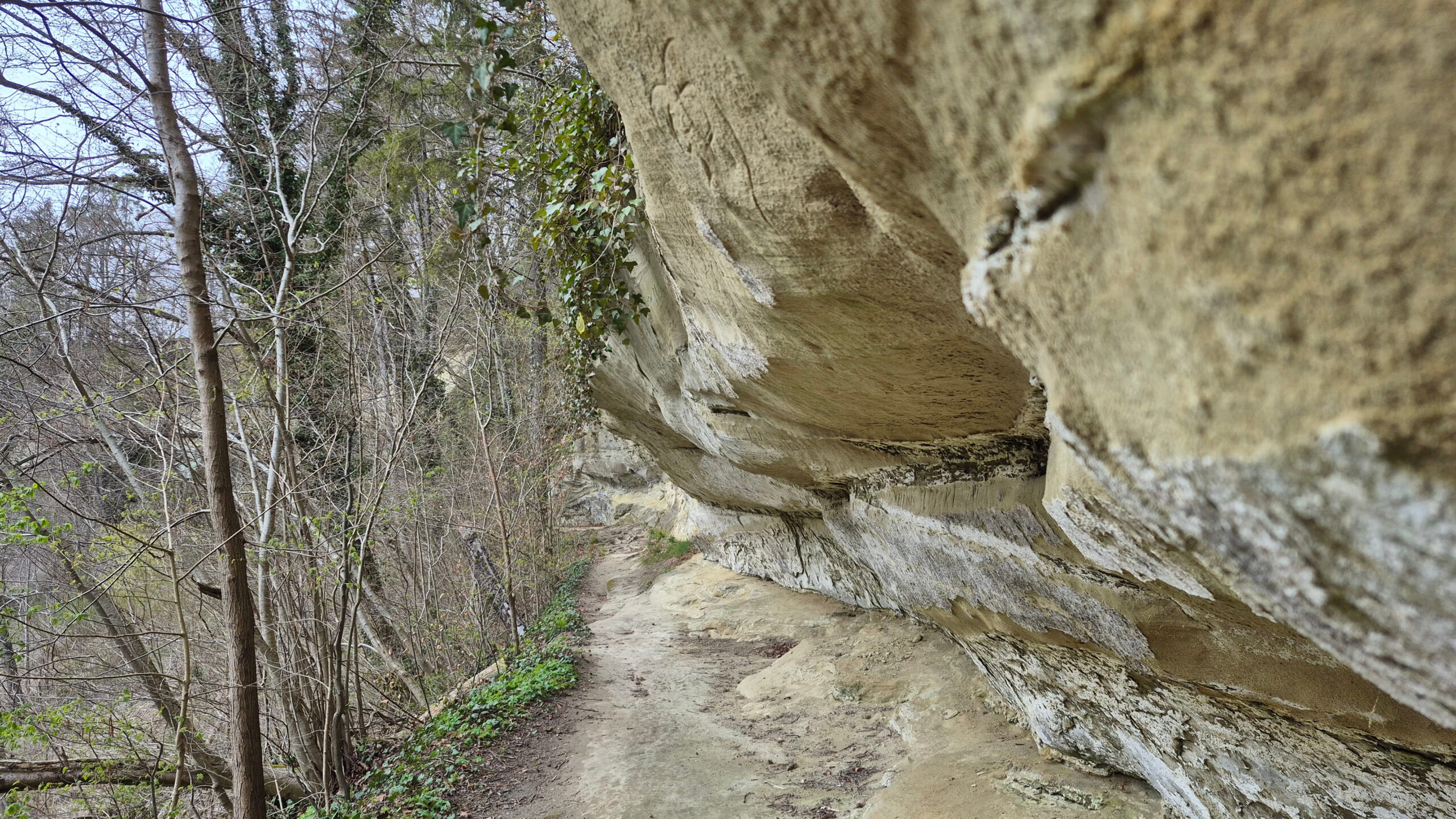 Präzise Kommunikation, pls