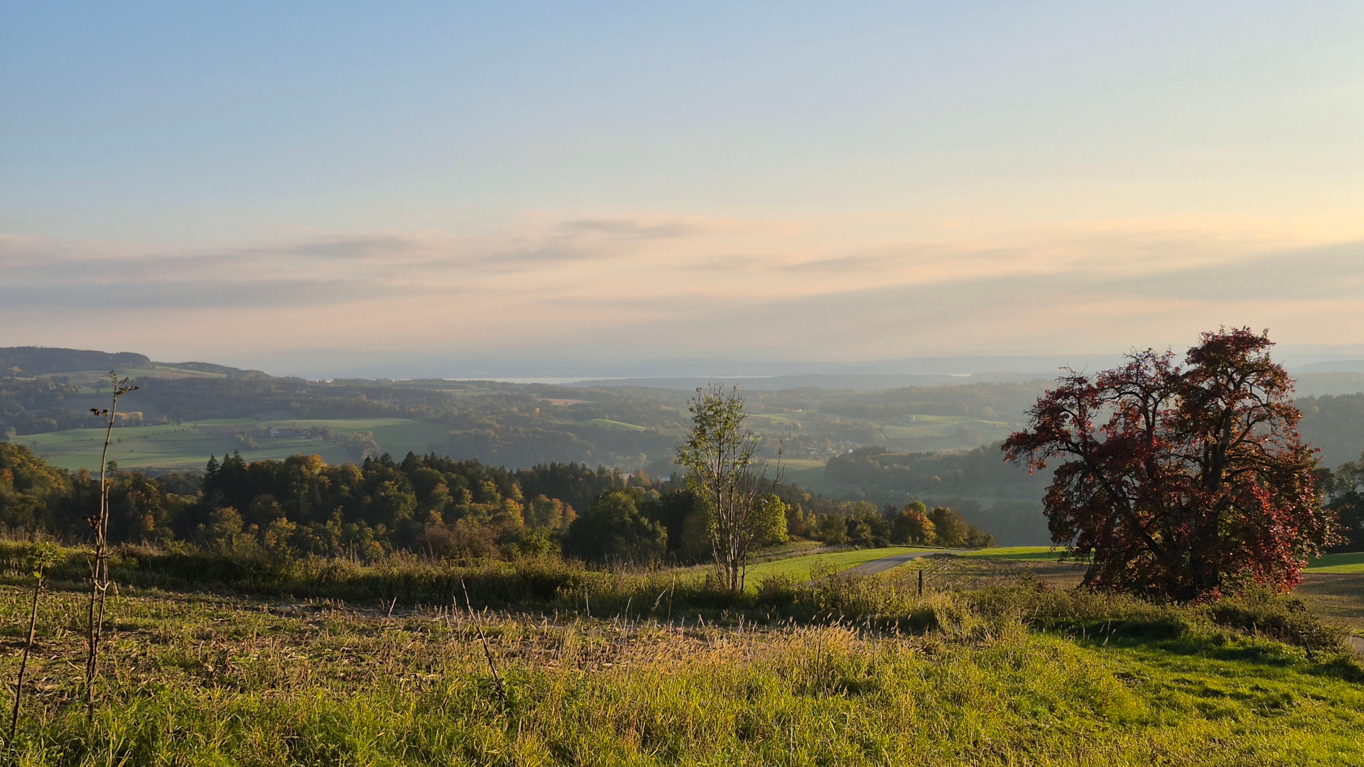 Einen Versuch ist es wert …