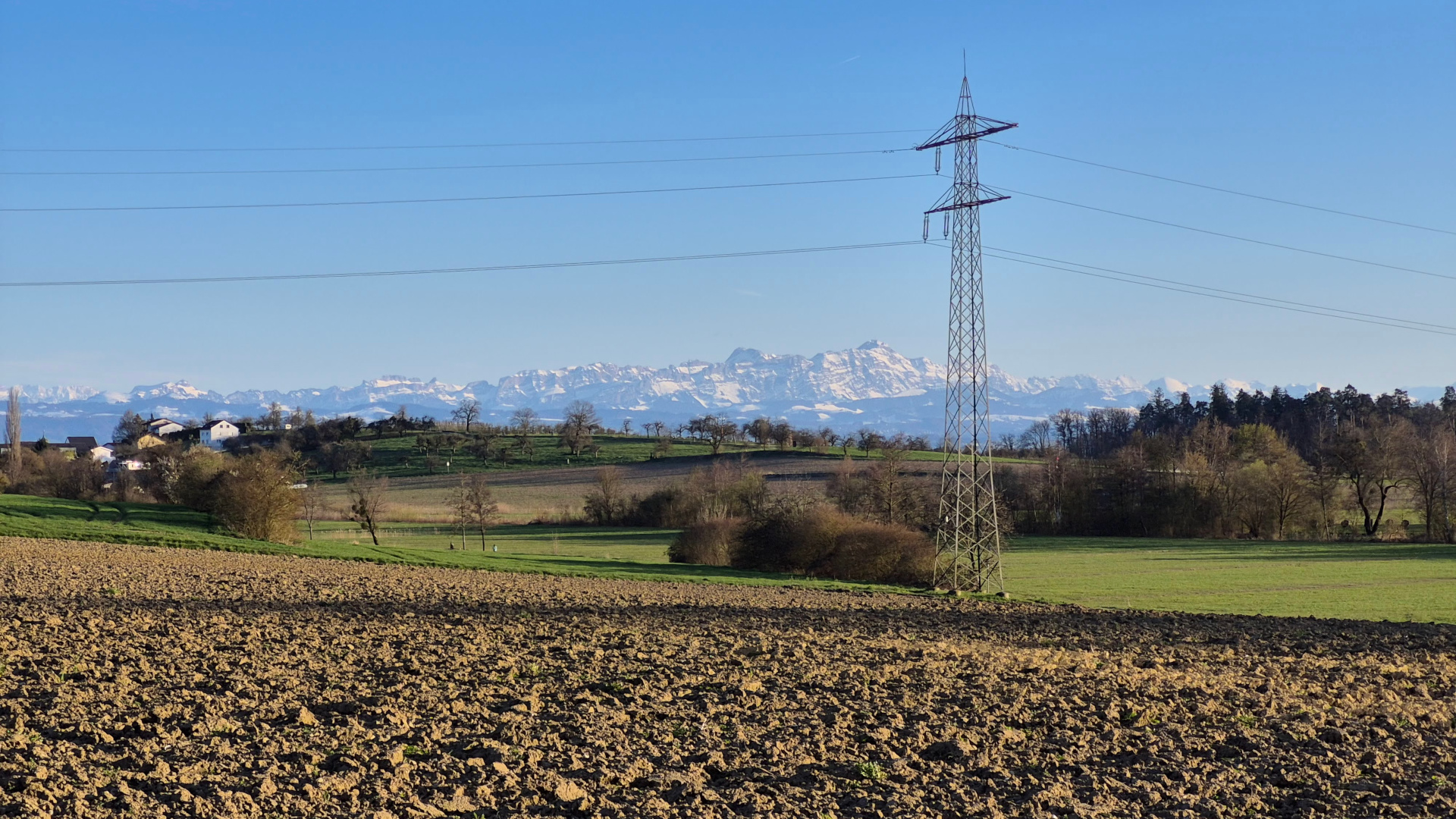 Forschen oder Erforschen?