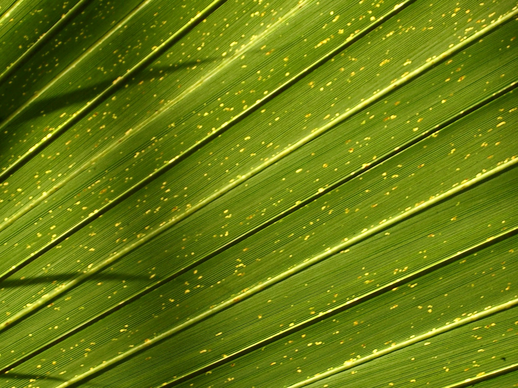 Management für Kinder